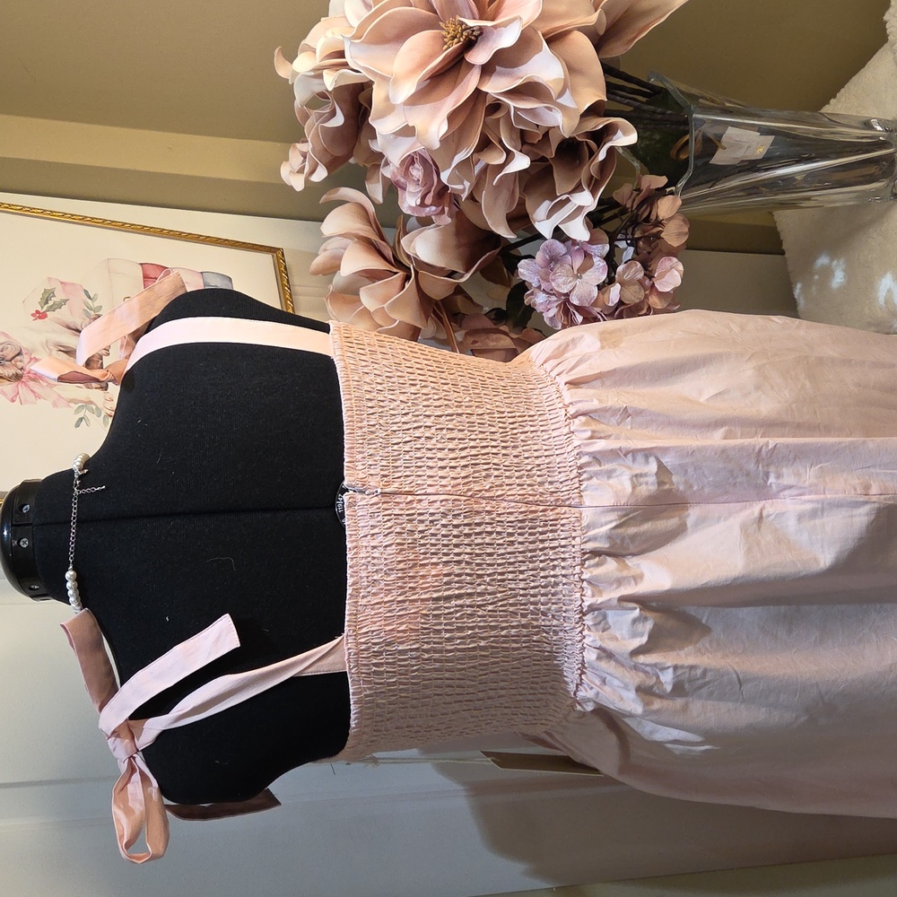 Nwt XL. Large. Medium Joie Light Pink Floral Maxi Dress  And Zipper In The Back - Picture 10 of 17